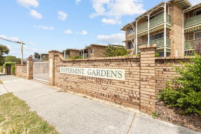 11/7 Vincent Street, WA 6050