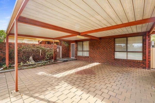 17 Ashburton Avenue, SA 5020