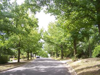 View of Street