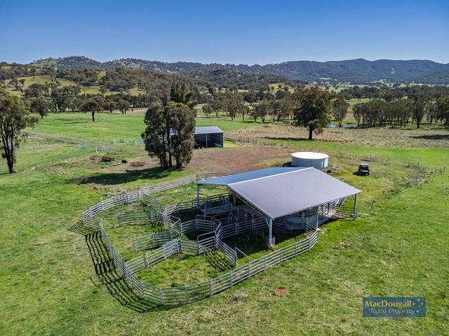 384 Dry Creek Road, NSW 2365