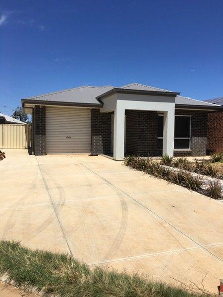 16 Dewit Street, SA 5108