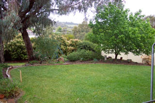 Rear yard