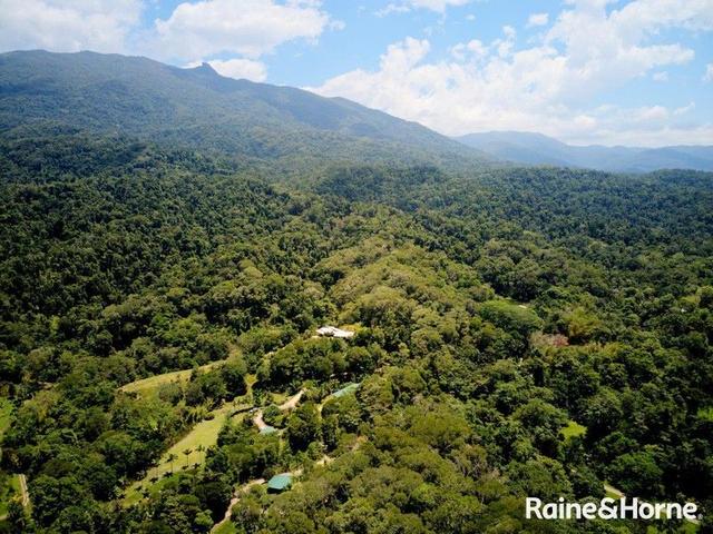 4 Whyanbeel Rd, QLD 4873