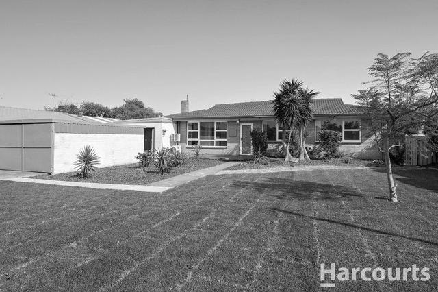 13 Pavo Close, WA 6168