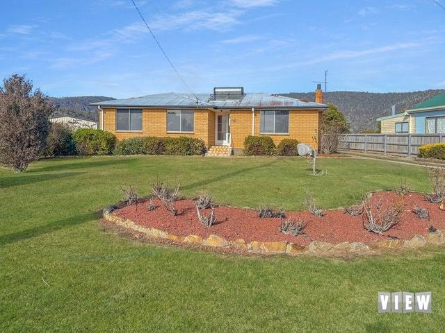 56 Victoria Street, TAS 7214