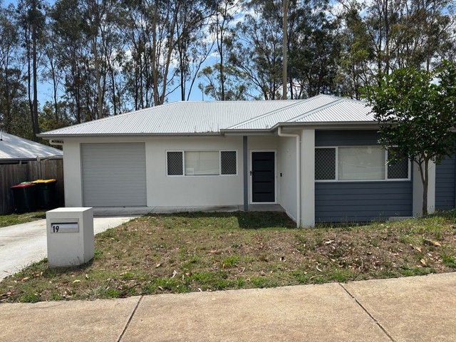 19 Conifer Avenue, QLD 4305