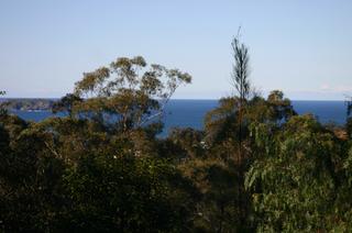 View (2005-09-13)