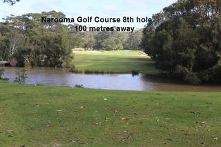 100 metres away 8th hole Narooma Golf course