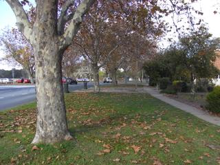 Street (2010-06-11)