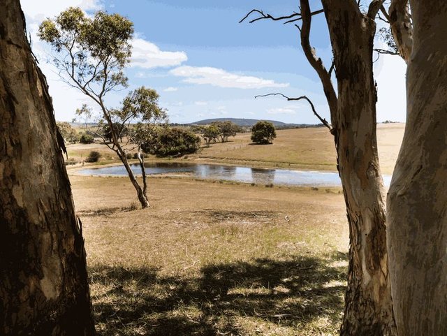 30 Bonds Road, SA 5210