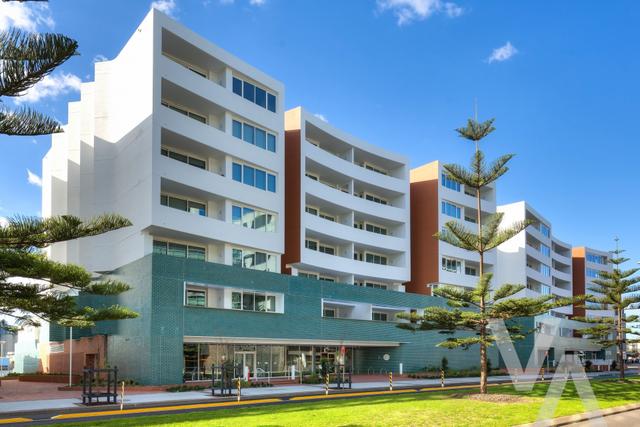 205/23 Honeysuckle Drive, NSW 2300