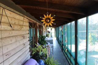 Standard Photo (2018-07-25)