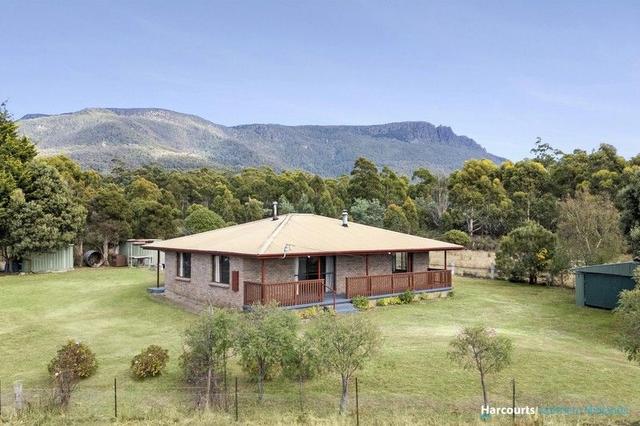 211 Musk Valley Road, TAS 7301