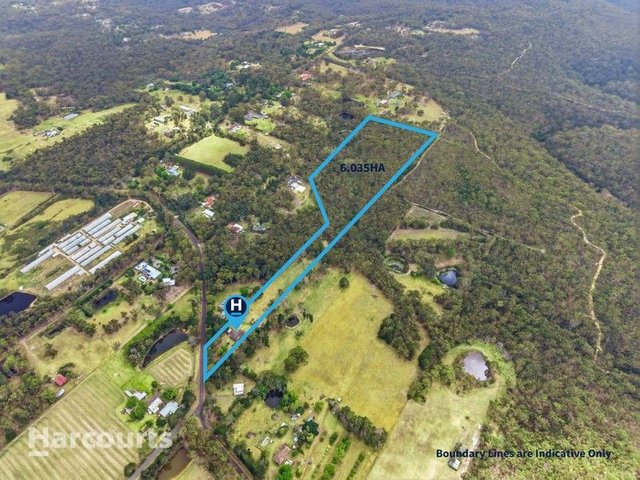 49 Lysaght Road, NSW 2560