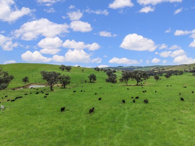 'Horse Gully' Old Waugoola Road, NSW 2793