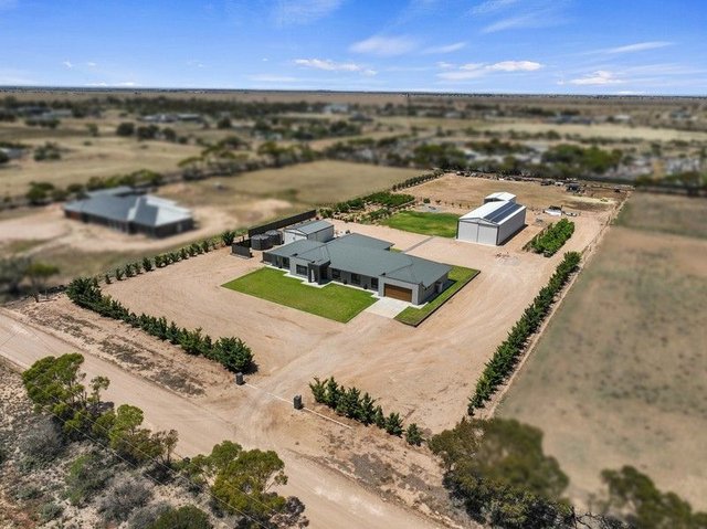 62 Thompson Street, SA 5556