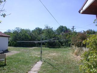 Backyard (2007-11-14)