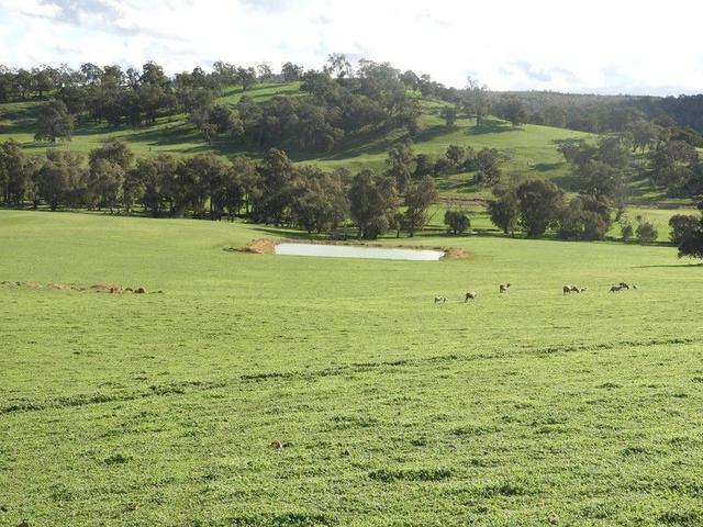 Kyellen Farm, Quindanning-Darkan Road, WA 6391