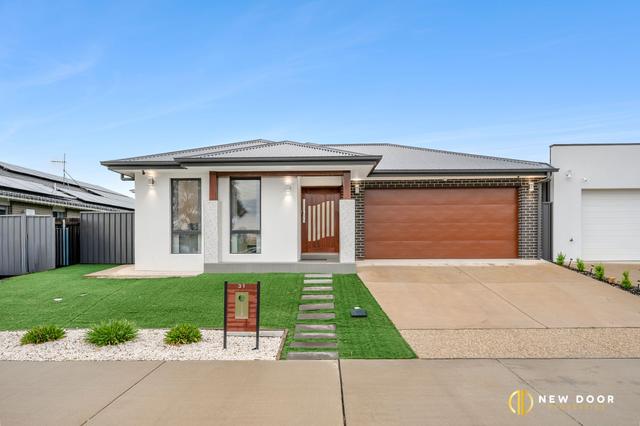 31 Chadwick Street, ACT 2913