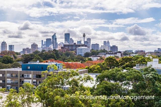 137/804 Bourke Street, NSW 2017