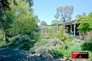 Garden from Drive