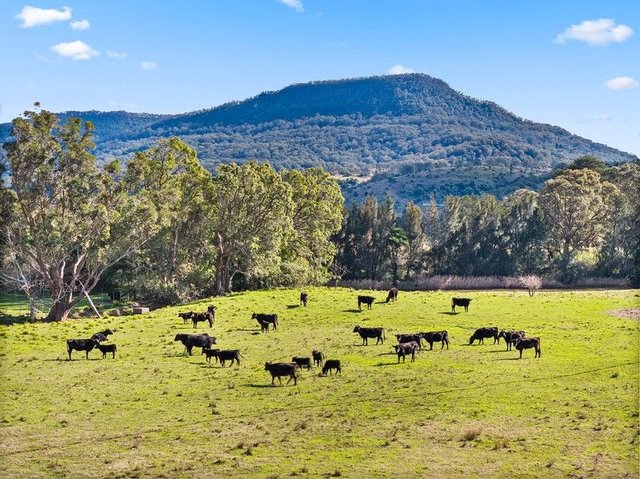 21 Windsor Crescent, NSW 2530