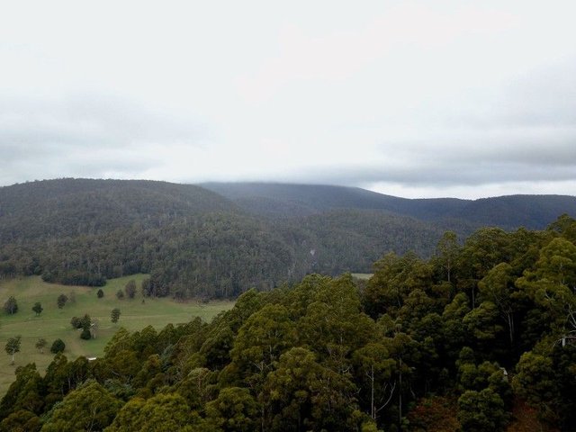 400 Olivers Road, TAS 7304