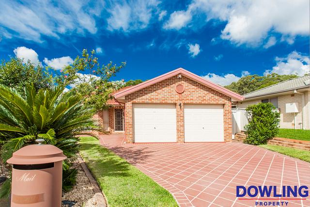 95 Kindlebark Drive, NSW 2318