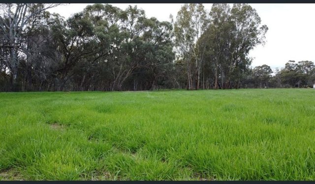 (no street name provided), VIC 3564