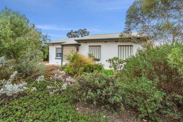 26 Geraldton  Street, SA 5333