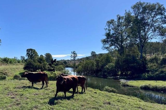 479 Bular Road, QLD 4600