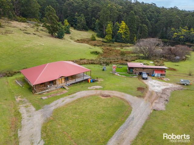 65 Luttrells Road, TAS 7306