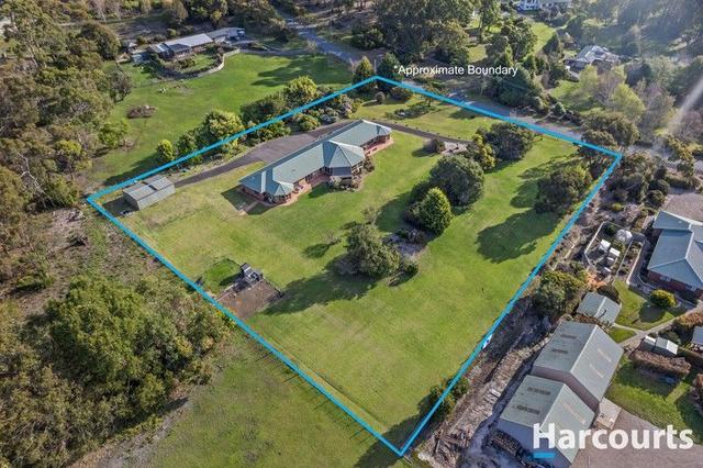 51 Gumbowie Drive, TAS 7307