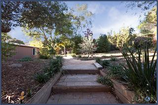 Back garden (2011-05-16)