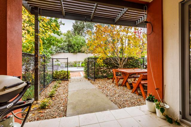 23/28 Watson Street, ACT 2612