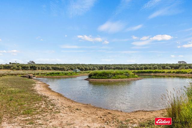 433 Hardwicke Lane, NSW 2582