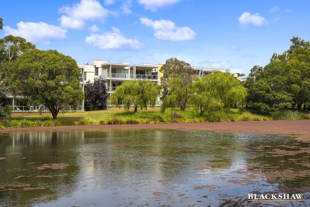 97/10 Thynne Street, ACT 2617