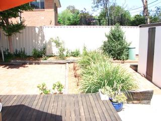 Rear Garden (2007-10-31)