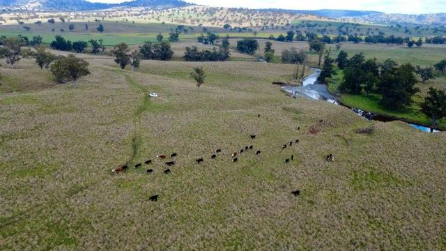 955 "Wirringulla" & "Gummun" Aggregation Coulsons Creek Road, NSW 2329