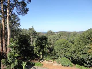 Standard Photo (2014-07-23)