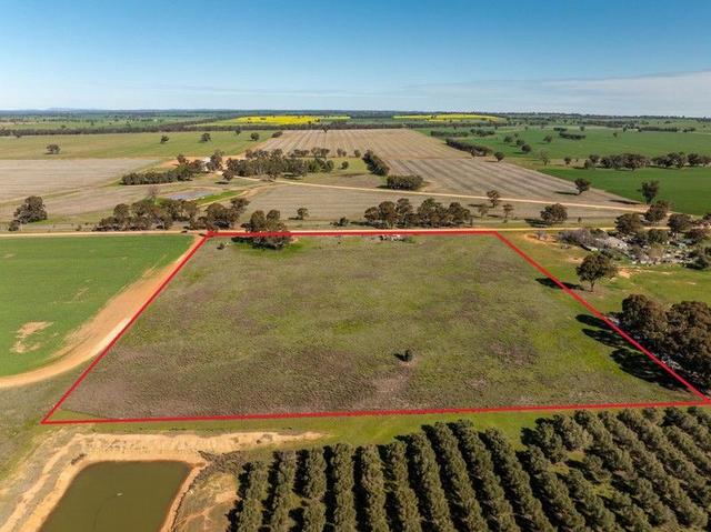 151 Erinvale Lane, NSW 2656