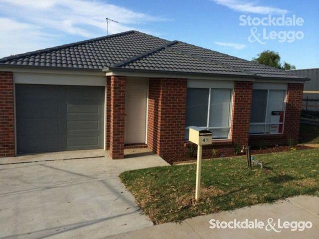 41 Glendonald Road, VIC 3842