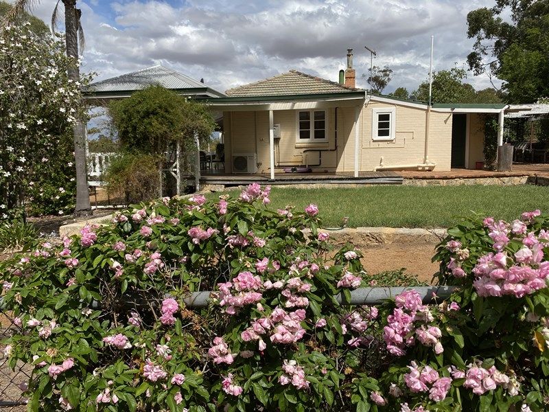 31 Paragon Street, Pingelly WA 6308 Allhomes