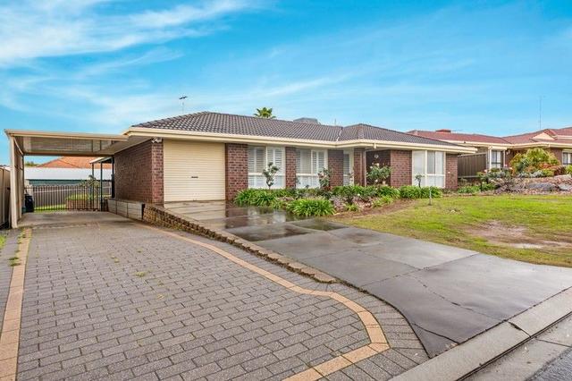 18 Hedgerow Drive, SA 5096