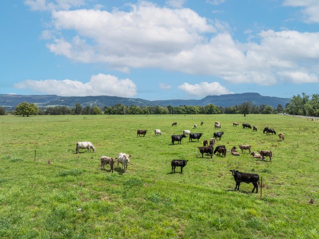 639E Coolangatta Road, NSW 2535