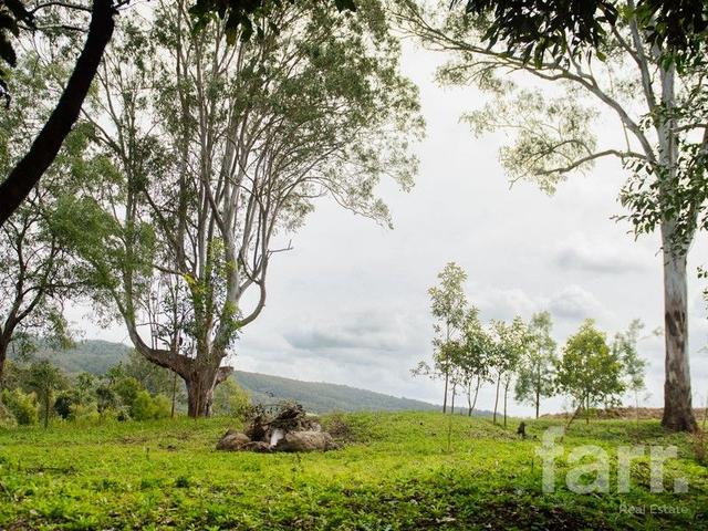 19 Charlotte Place, QLD 4275