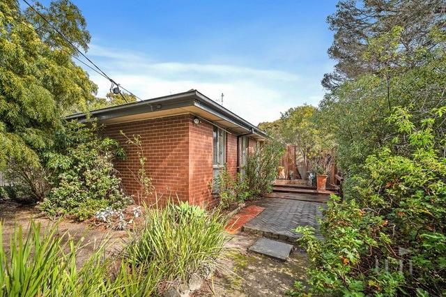 8 Limosa Court, VIC 3931