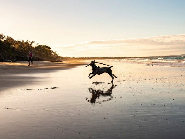 (no street name provided), QLD 4655