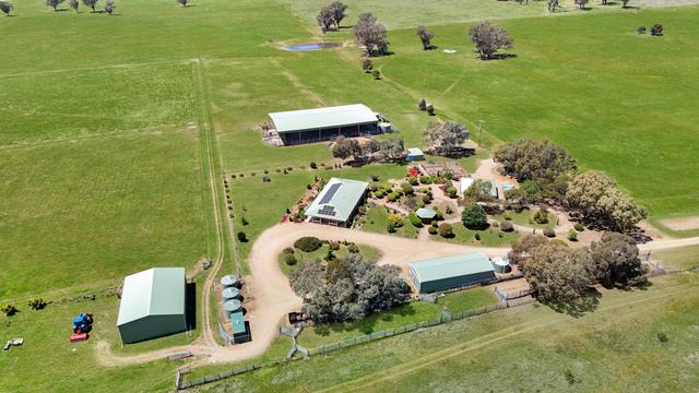 3374 Murringo Road, NSW 2594