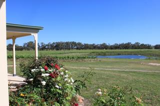 Garden (2010-11-24)